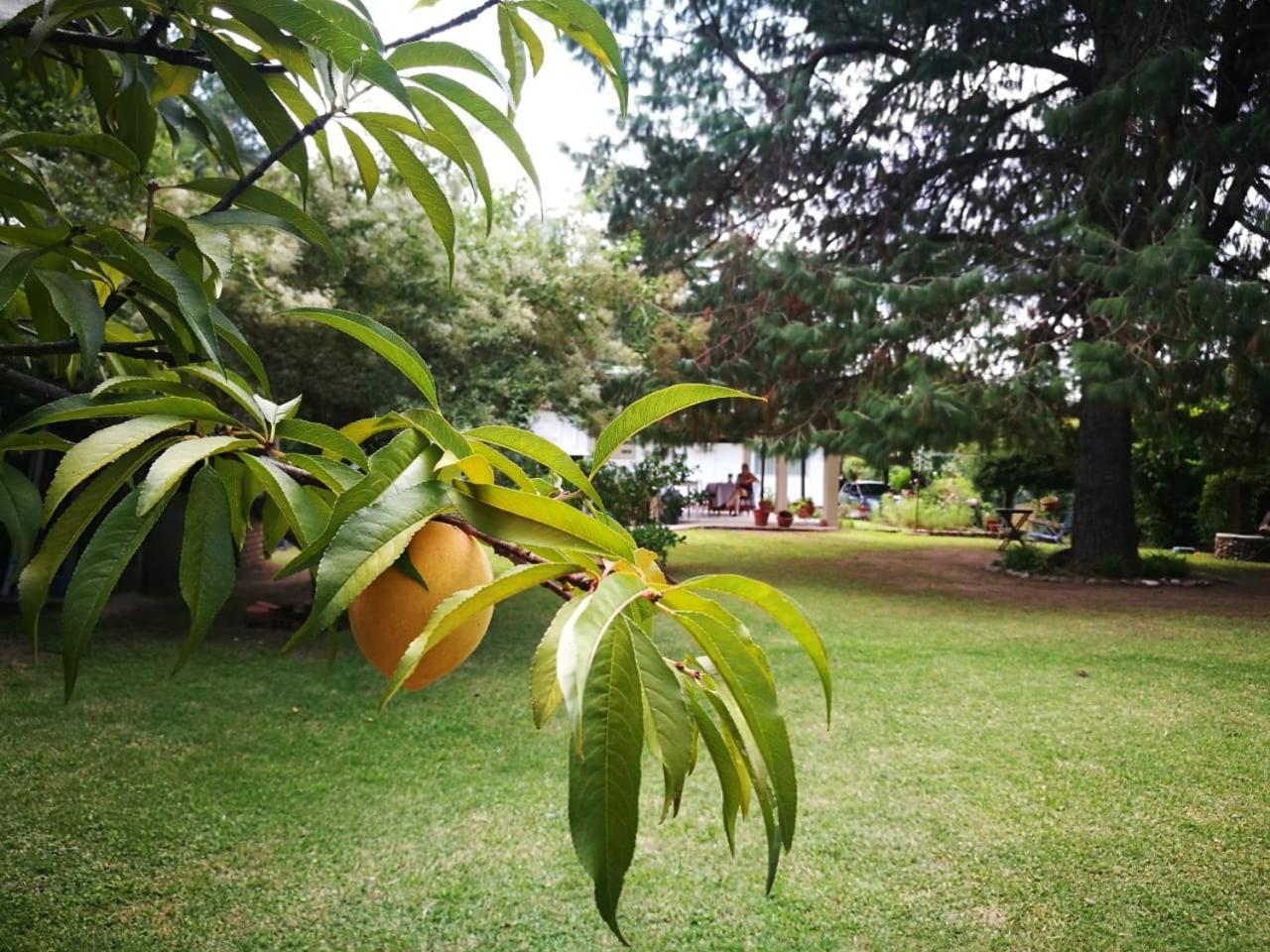 El Mana Villa Bialet Masse Bagian luar foto